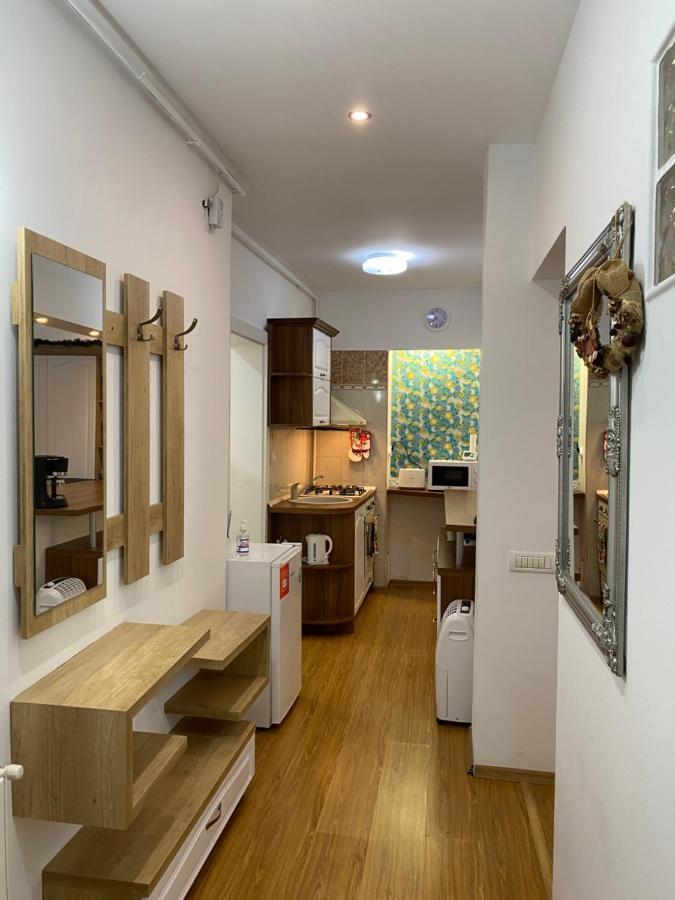 Tampa Hill Residence Μπρασόβ Εξωτερικό φωτογραφία