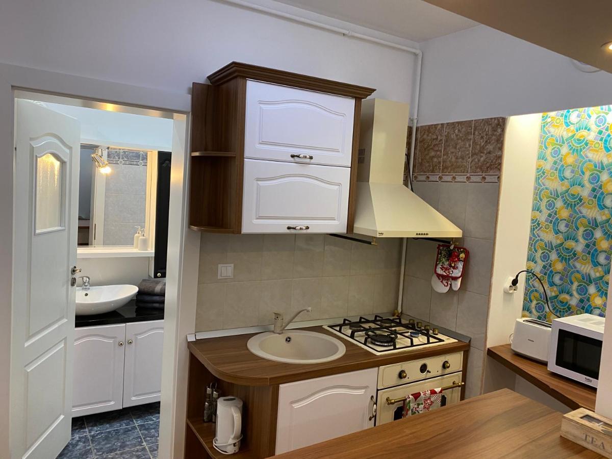 Tampa Hill Residence Μπρασόβ Εξωτερικό φωτογραφία